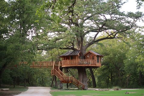 Most Magical Treehouse Hotels in the World | Reader's Digest