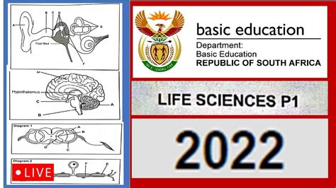 2022 Paper 1 Life Sciences Grade 12 Msaidi Youtube