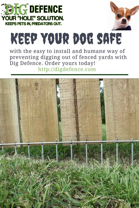 The Best How To Keep Animals From Digging Under Fence References