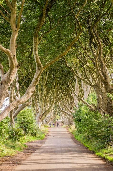 25 Photos That Make You Want To Visit Northern Ireland Today Visit