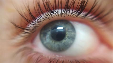 Beautiful Close Up Eye Eyeball Eyelash Eyesight Face Girl Human