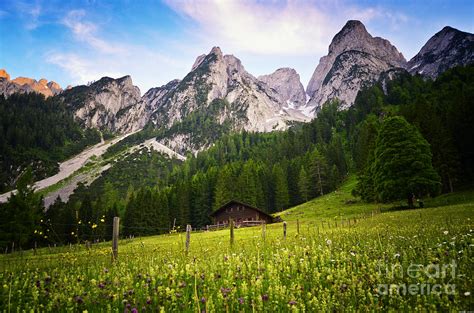 Mountain Cabin In The Alps Austria Photograph By Sabine Jacobs Fine