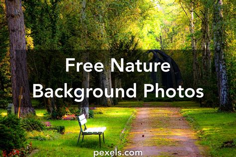 1000 Great Nature Background Photos Pexels · Free Stock Photos