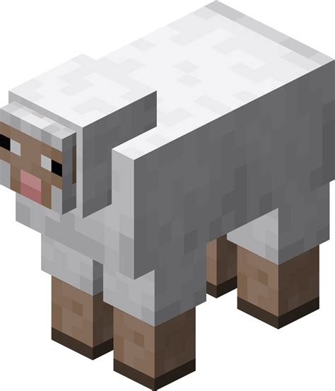 Sheep Minecraft Wiki Fandom