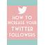 Becky Bedbug 7 Ways To Increase Twitter Followers