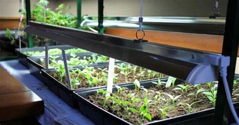 15 Easy Yet Inexpensive Diy Led Grow Light Ideas For Indoor Growing