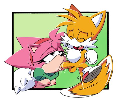 Rule Amy Rose Balls Breasts Classic Amy Knuckles The Echidna