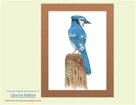 Bird Print Blue Jay Watercolor Painting Blue Jay Digital Art Print Of