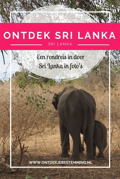 Rondreis Sri Lanka In Foto S Ontdek Je Bestemming Sri Lanka