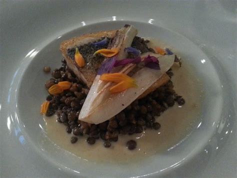 Sea Bass With Lentils And Endives Picture Of Chagall S Club Restaurant Prague Tripadvisor