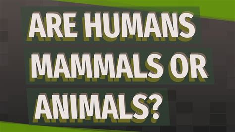 Are Humans Mammals Or Animals Youtube
