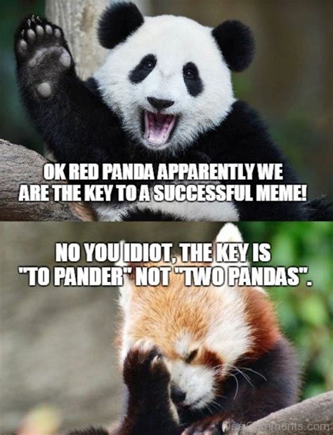 88 Funniest Panda Memes Funny Pictures
