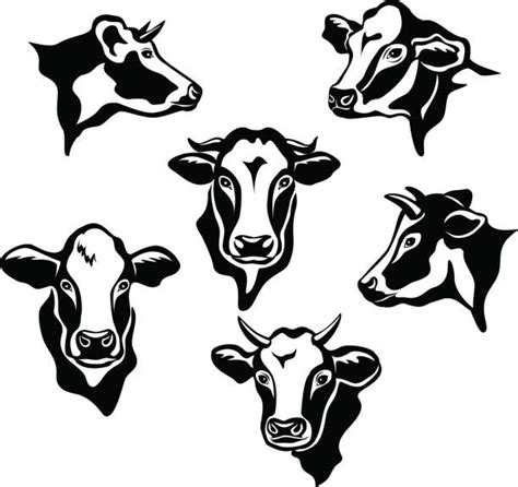 Jersey Cattle Illustrations Royalty Free Vector Graphics