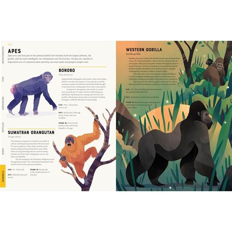Whole Earth Provision Co Encyclopedia Of Animals By Jules Howard