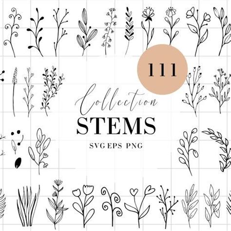 Wildflowers Clipart And Stamps Digital Clipart Clip Art Etsy