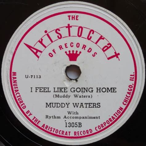 Muddy Waters I Feel Like Going Home Blues 78 Rpm On