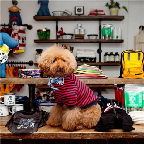 4 Stylish Pet Boutiques You Need To Visit In New York