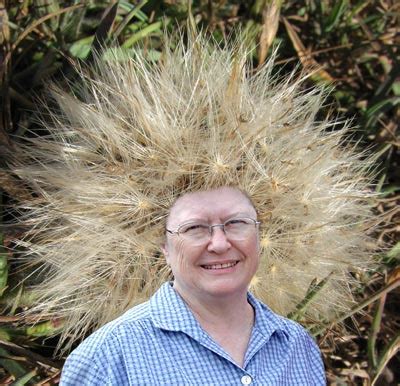 Simply pull your hair back as done to create a low ponytail. how to style your hair after you have a baby | the mama ...