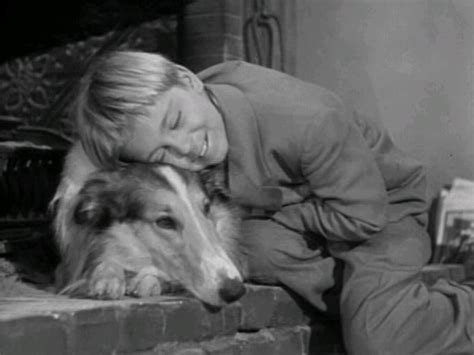 Jeff Tommy Rettig With The Original Lassie From The Mgm Movies Pal In The Very First