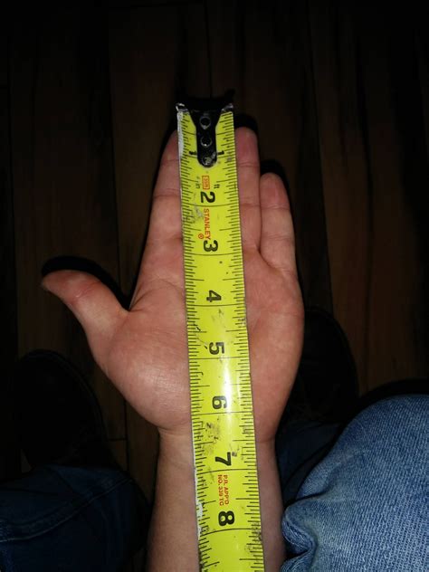How Big Is 9 Inches Learnpediaclick