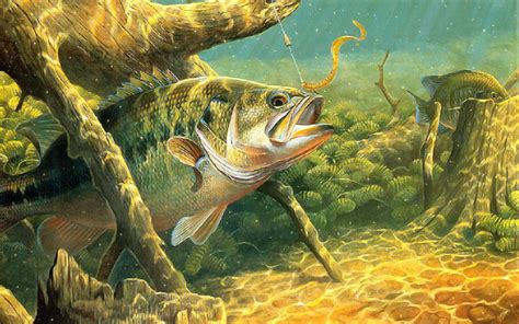 Bass Fishing Wallpaper Hd