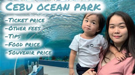 Cebu Ocean Park Largest Oceanarium In The Philippines Everything