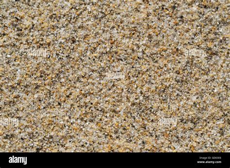 Texture Of Sand Grains Close Up Stock Photo Alamy