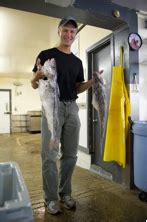 Haddock fishing is almost automatic in the early spring. Know Your Seafood: Haddock - Turner's Seafood