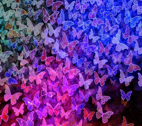 1920x1080px 1080p Free Download Butterflies Colorful Colors