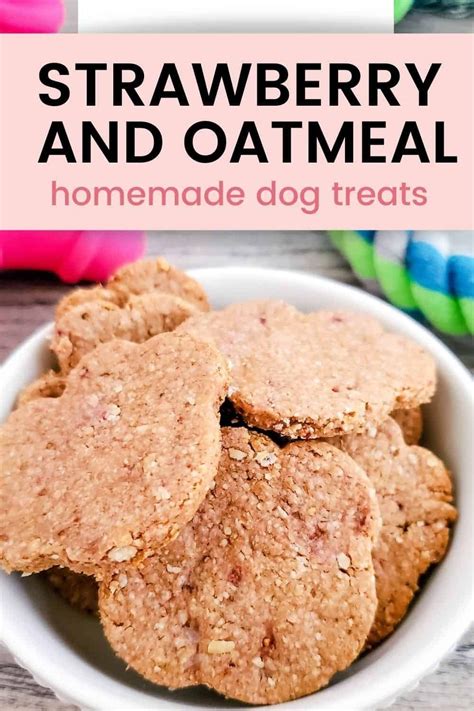Strawbery Oatmeal Dog Treats Recipe Made With 3 Ingredients That Are