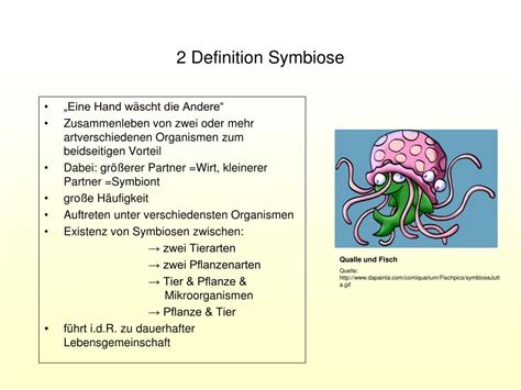 Mutualismus oder auch mutualistische symbiose bezeichnet in der ökologie eine wechselbeziehung zwischen lebewesen. PPT - Symbiosen PowerPoint Presentation - ID:4685542
