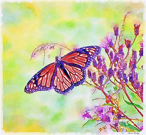 Monarch Butterfly Digital Watercolor Photograph By Kerri Farley