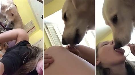 Dog Eats Girls Pussy - Animals Licking Pussy Animal Anal Porn Young â€“ Anja Wintour