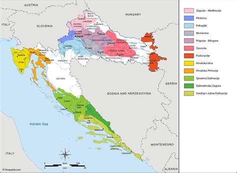 Mapa do vinho croata regiões vinícolas e vinhedos da Croácia
