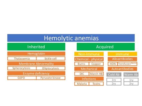 Classification Of Hemolytic Anemias