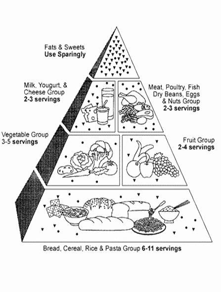 Blank Food Pyramid Worksheet Luxury Printable Wellness Food Pyramid