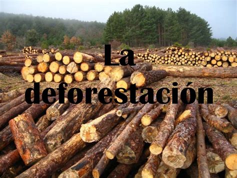 Lo que causa una gran cantidad de daños asociados a la calidad de los suelos. laura: la deforestacion