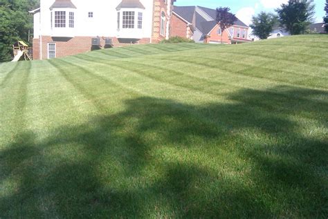 Residential Lawn Care And Turf Care Northern Virginia Your Landscape