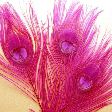 3 Large Hot Pink Peacock Feathers By Fancygoods On Etsy 425 Pink