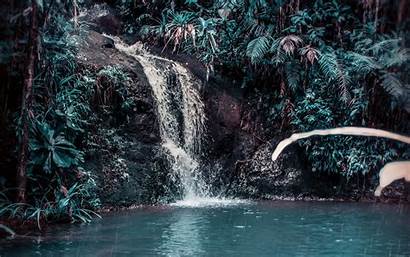 4k Waterfall Forest Stream Jungle Tropical Wallpapers