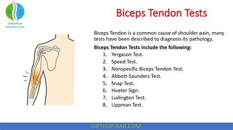 What Are Biceps Tendon Injuries Midwest Orthopedic Co Vrogue Co
