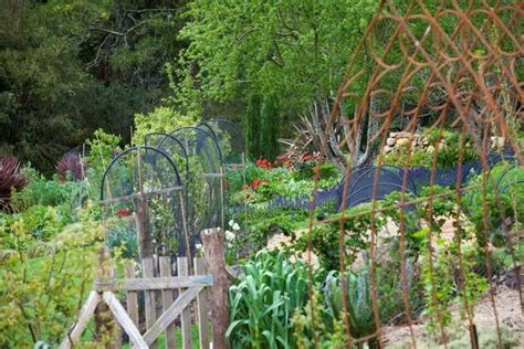 Lovely Permaculture Food Forest Garden Edible Garden Sanctuary