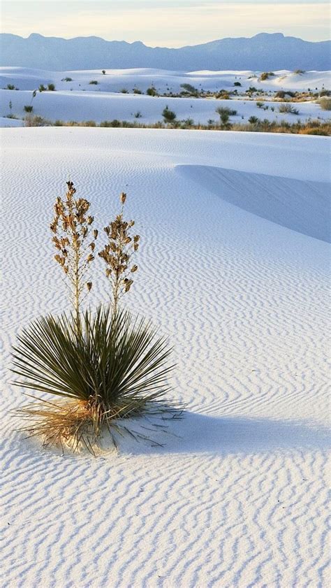 White Sands Desert Iphone Wallpaper Resolution White Sands National