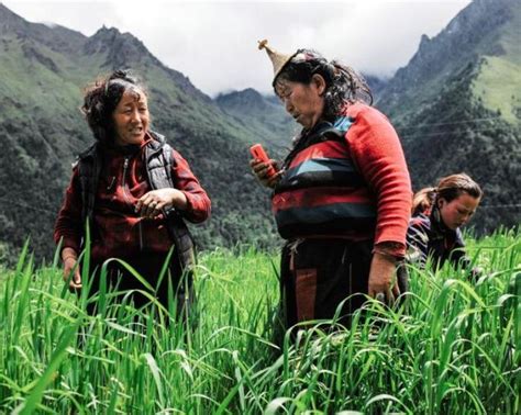 Blok penghitungan (bp) blok penghitungan ialah suatu kawasan muka bumi yang diwujudkan secara rekaan dan mempunyai sempadan tertentu. Melihat Kehidupan Bhutan yang Mampu Bertahan dari ...