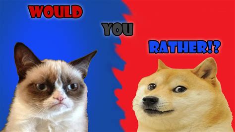 Doge Or Grumpy Cat Would You Rather With Wade 2 Youtube