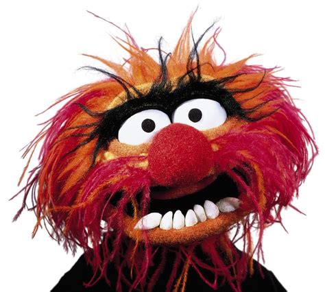 Hass Hat Verloren Abhalten Muppet Show Figuren Schlagzeuger Geschwister