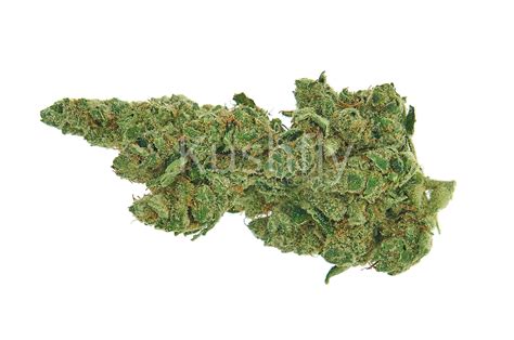Gelato Strain Cannabis Delivery And Information