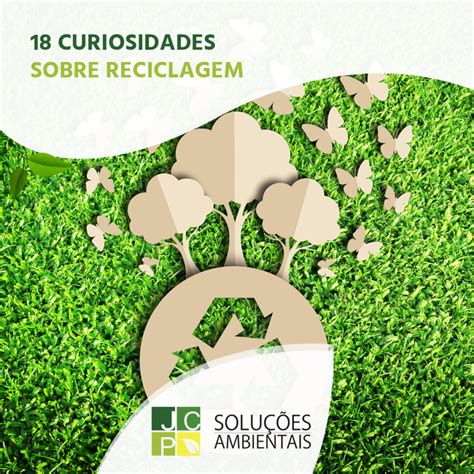 Curiosidades Sobre A Reciclagem
