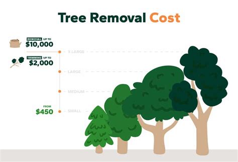Cost Of Tree Removal In Aston Pa Mr Tree Serving Delaware County