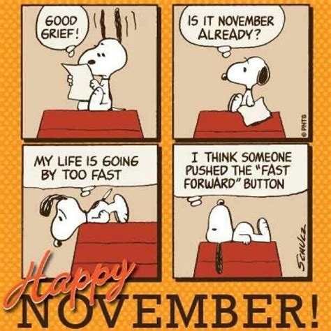 Happy November Die Peanuts Charlie Brown And Snoopy Peanuts Snoopy